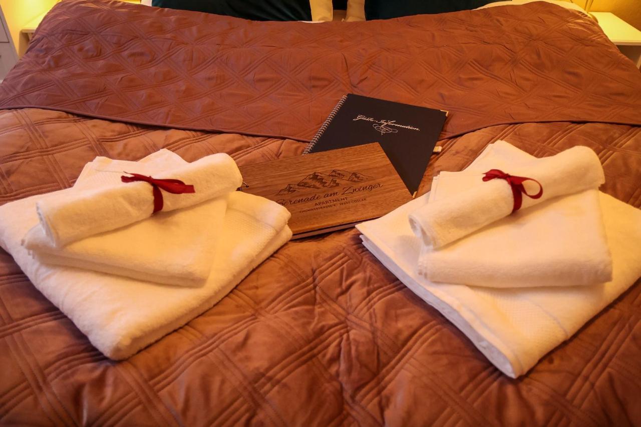 Apartment Serenade Am Zwinger Γκόσλαρ Εξωτερικό φωτογραφία